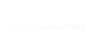 BYJ Consultores
